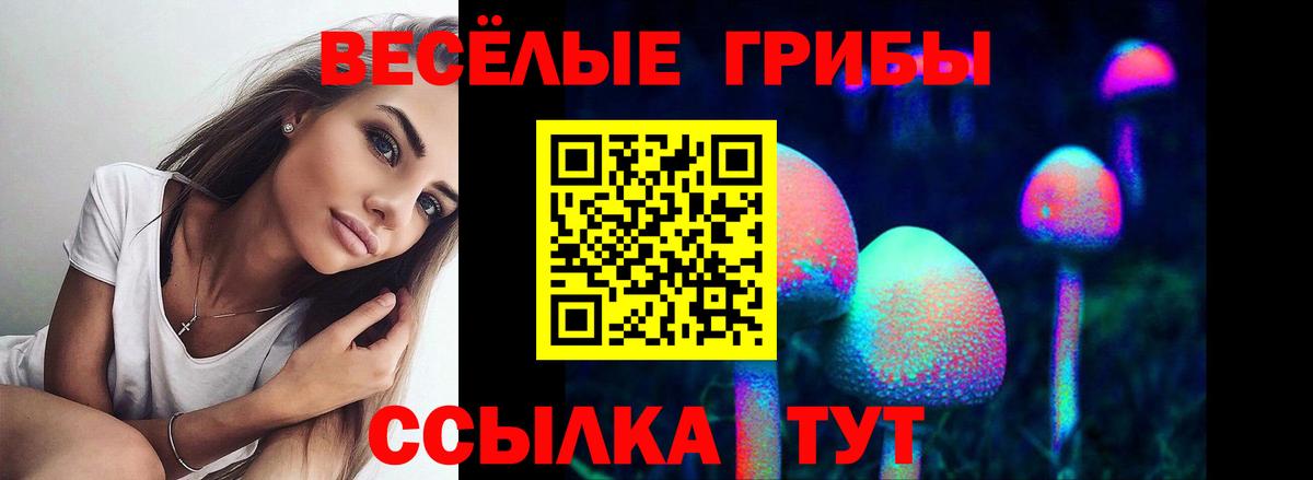 Джанкой  Псилоцибиновые грибы мицелий  Вход с VPN  купить наркотики сайты  Псилоцибиновые грибы Psilocybine cubensis 